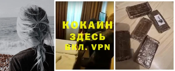винт Алексин